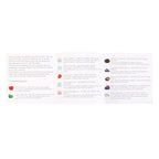 Cuadrícula Cristal Astrología Rueda Zodiacal - Rejilla Energética 12 Signos