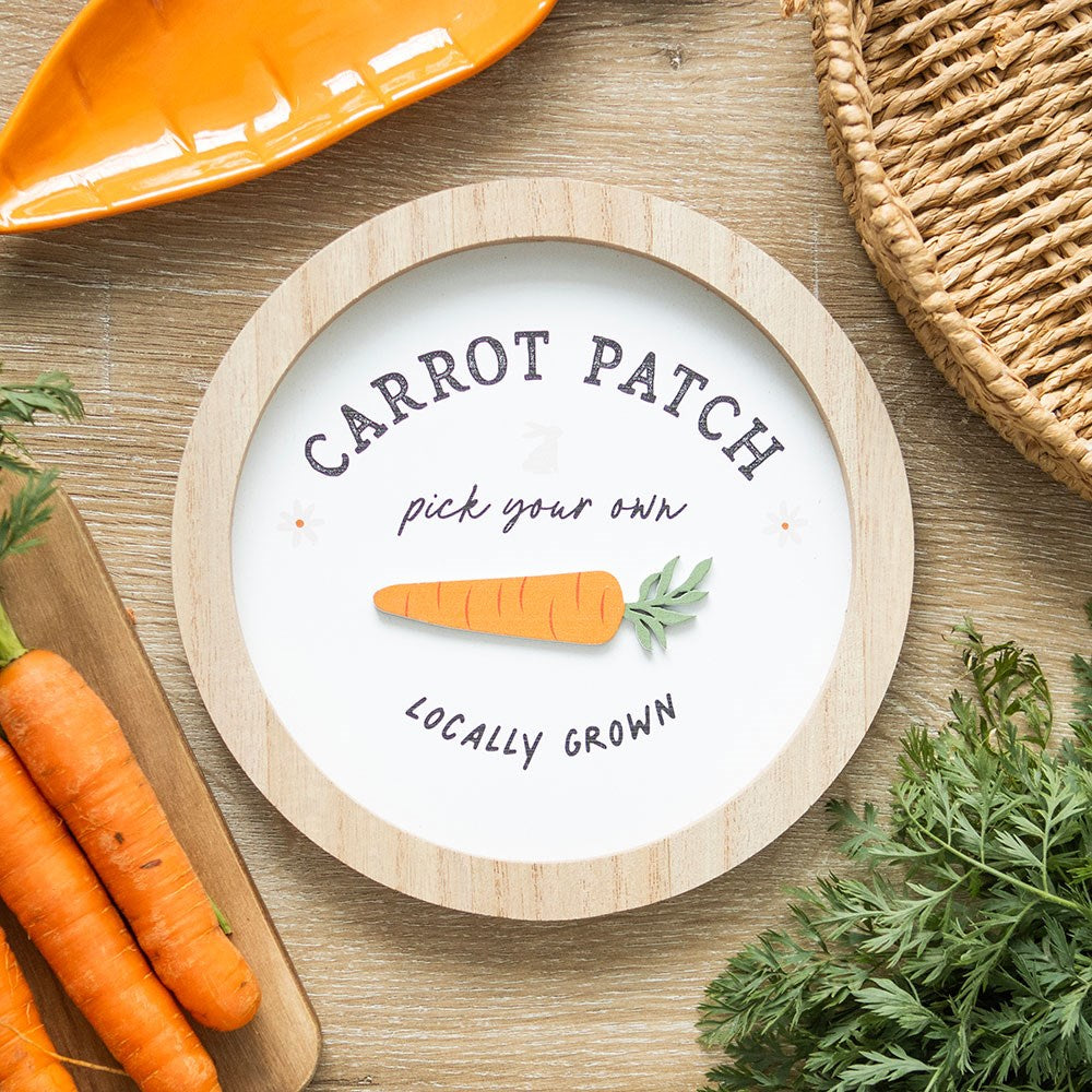 3D ROUND CARROT PATCH WALL PLAQUE