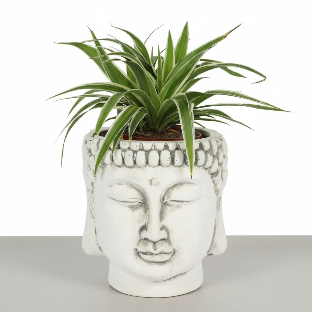 Maceta Cabeza de Buda Blanca Terracota - Jardinera Decorativa Zen para Suculentas
