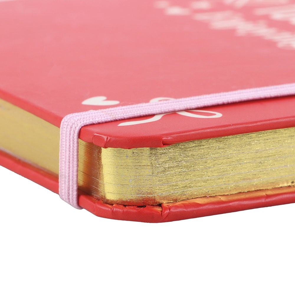 SOLTERO, OCUPADO, DEMASIADO OCUPADO DISFRUTANDO DE LA VIDA A5 NOTEBOOK