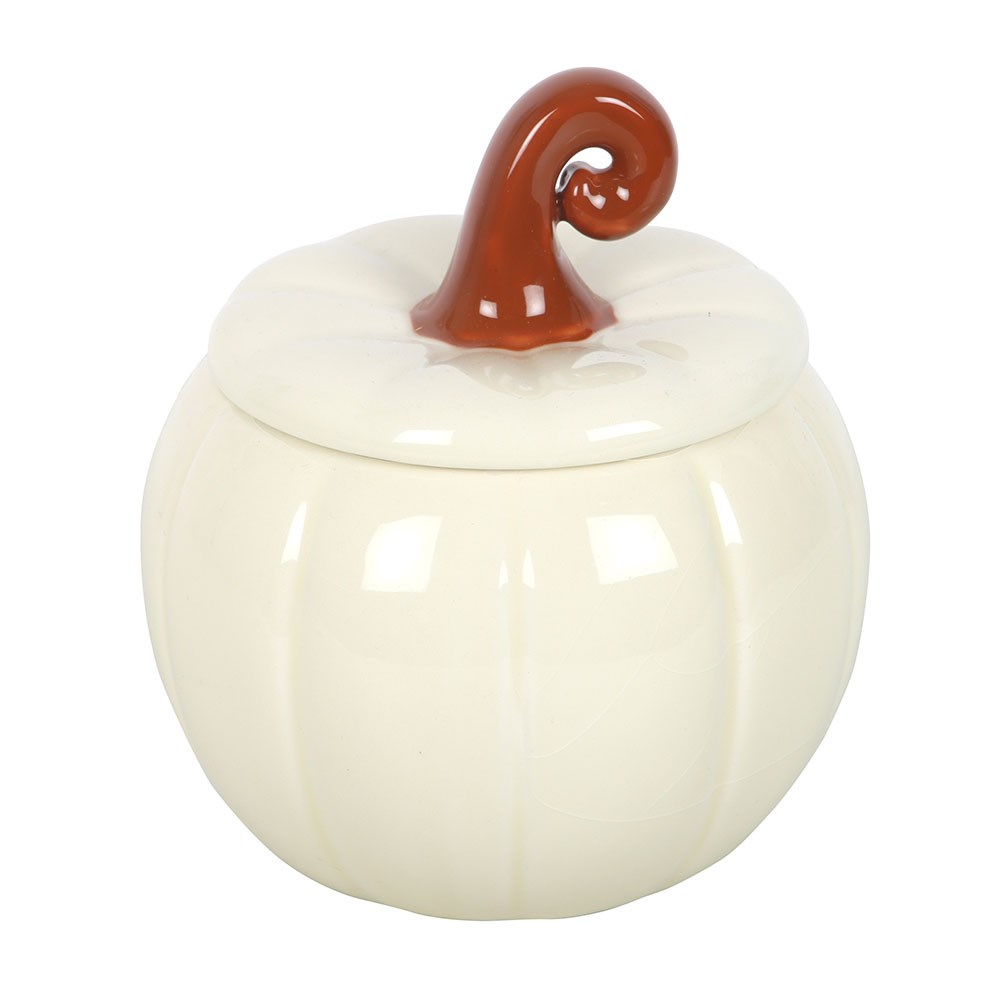 Quemador calabaza blanca rizada – imagen 2