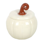 Quemador calabaza blanca rizada – imagen 2
