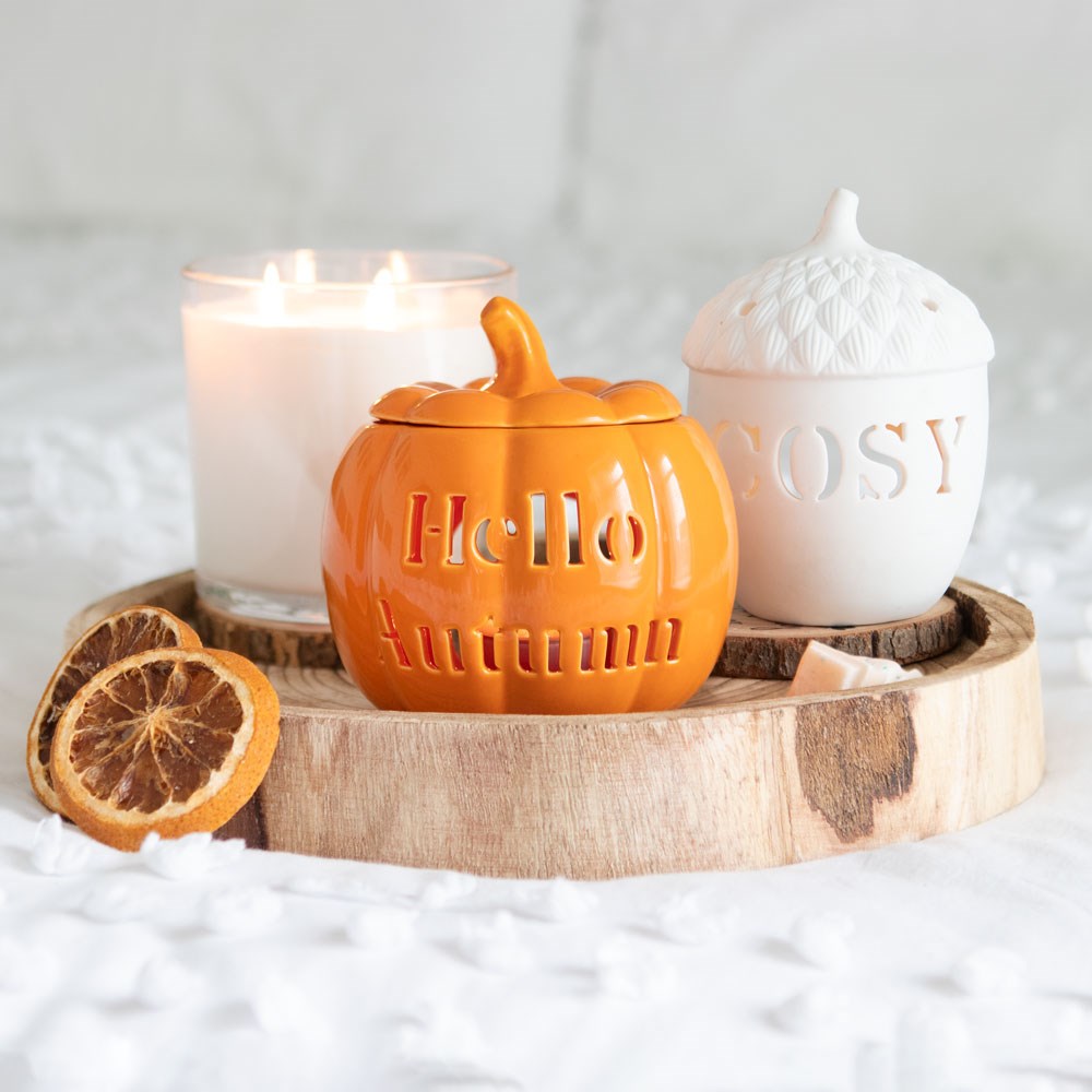 Quemador calabaza hola otoño – imagen 6
