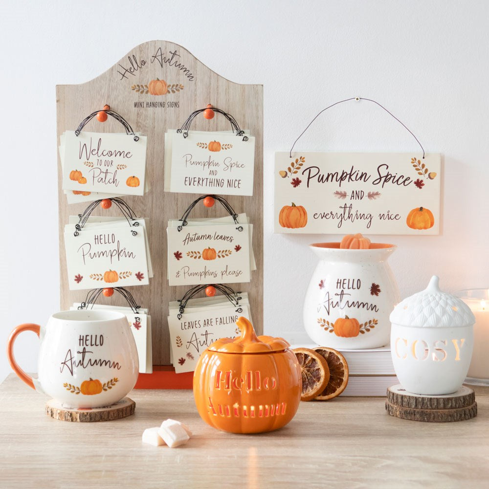 Quemador calabaza hola otoño – imagen 7