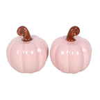Salero y pimentero calabazas rosas, caja - Ami Home Decor