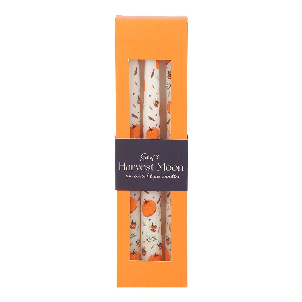 Velas largas Calabazas - Ami Home Decor