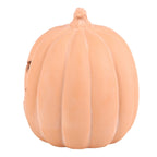 Calabaza de Terracota 22 cm
