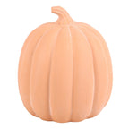 Calabaza de Terracota 22 cm