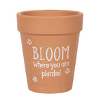 Maceta de Terracota Bloom Where You Are Planted