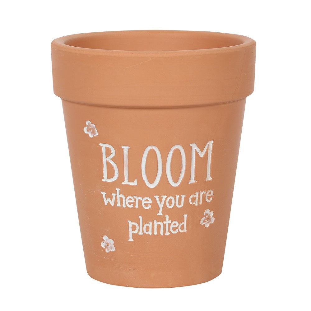 Maceta de Terracota Bloom Where You Are Planted