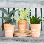 Maceta de Terracota Bloom Where You Are Planted